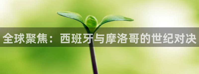 世界杯预选赛亚洲区赛程：全球聚焦：西班牙与摩洛哥的世纪对决