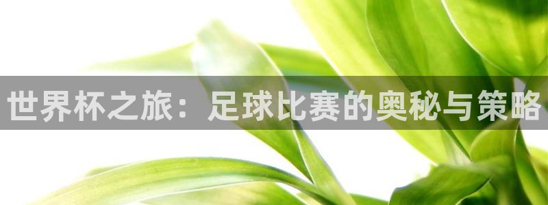 世界杯 赛程：世界杯之旅：足球比赛的奥秘与策略