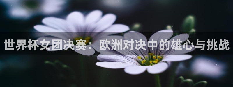 欧洲世预赛赛程表：世界杯女团决赛：欧洲对决中的雄心与挑战