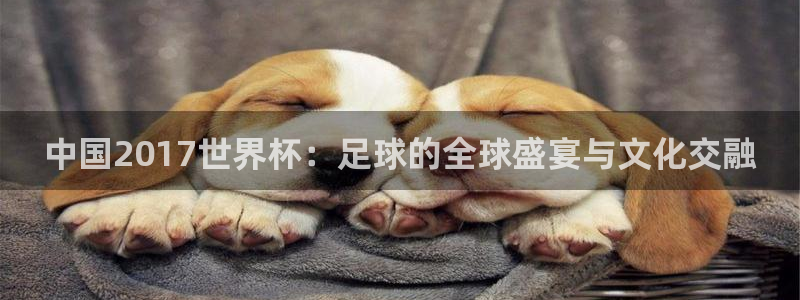 世界杯对阵表：中国2017世界杯：足球的全球盛宴与文化交融