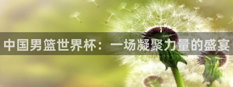 世界杯直播网：中国男篮世界杯：一场凝聚力量的盛宴
