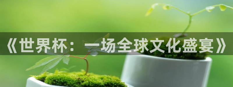 世界杯转播表：《世界杯：一场全球文化盛宴》