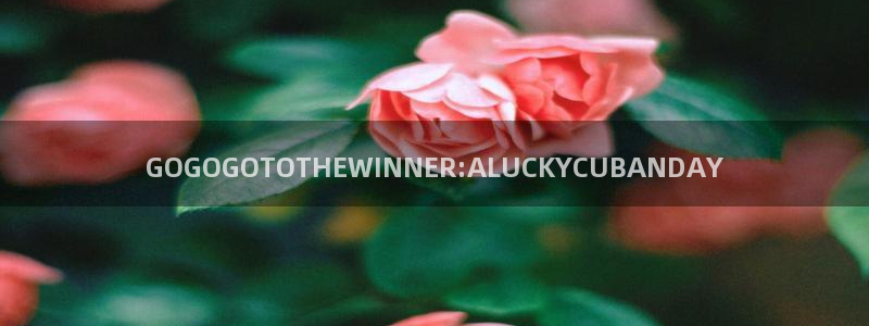 世界杯欧洲区预选赛：GOGOGOTOTHEWINNER:ALUCKYCUBANDAY