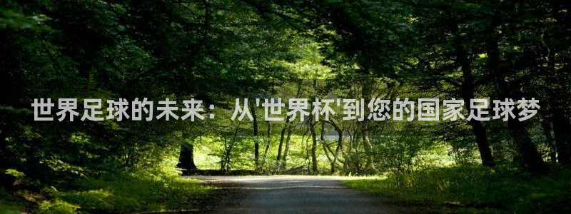 英格兰联赛杯直播：世界足球的未来：从\'世界杯\'到您的国家足球梦