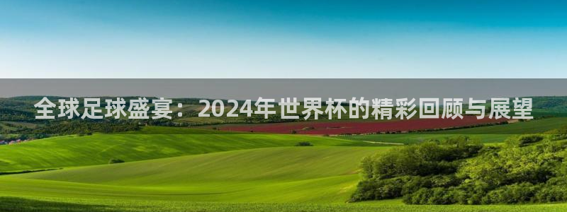 英足总杯直播：全球足球盛宴：2024年世界杯的精彩回顾与展望