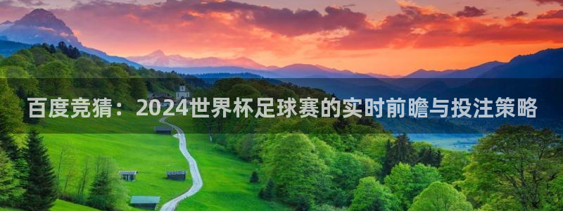 世界杯预选赛2026：百度竞猜：2024世界杯足球赛的实时前瞻与投注策略