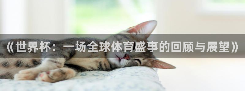 世界杯对阵图2026：《世界杯：一场全球体育盛事的回顾与展望》