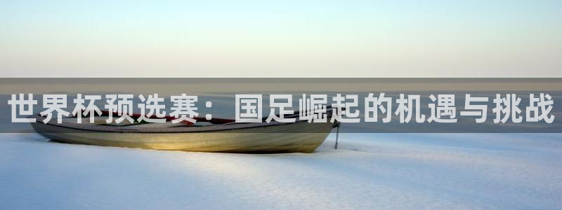 世界杯直播：世界杯预选赛：国足崛起的机遇与挑战