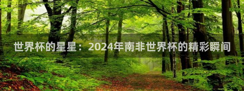 足球比分直播世界杯:世界杯的星星:2024年南非世界杯的精彩瞬间