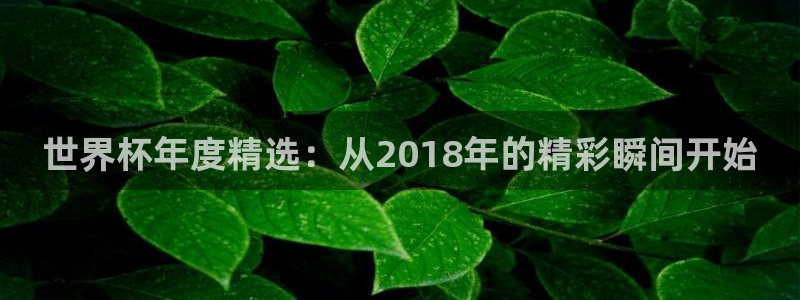 欧洲区世界杯预选赛：世界杯年度精选：从2018年的精彩瞬间开始